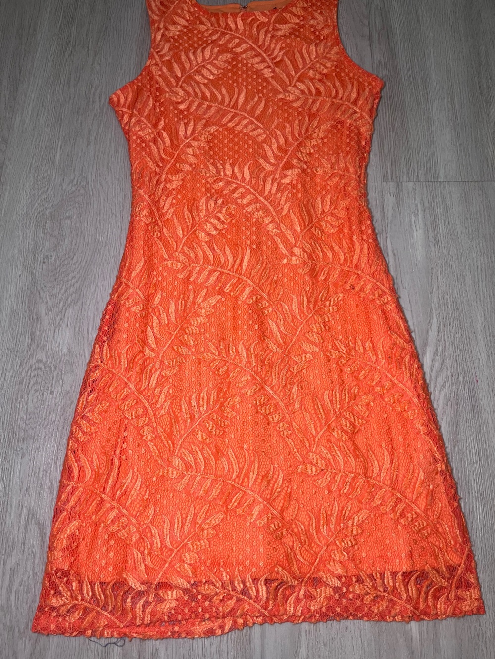 Sharagano Orange Lace Shift Dress 6